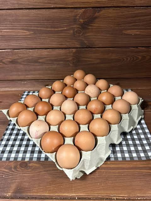 30 Large Eggs